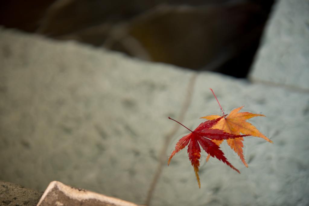 Onsen Ryokan Yamaki Hotel นาสุชิโอบาระ ภายนอก รูปภาพ